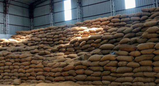 Wholesale Warehouses to Open for Paddy Purchases